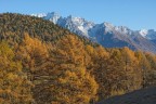 Montagna in autunno, esplosione di colori