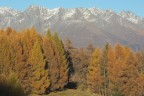 Panorama Panorama