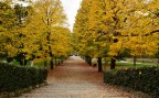 passeggiata nel parco 3 passeggiata nel parco 3