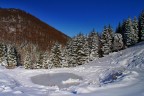 Inverno novembrino sul Monte Novegno Inverno novembrino sul Monte Novegno