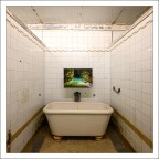 Mostra al Cobianchi Mostra al Cobianchi