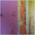 Vicenza, novembre 2025