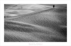 solitario solitario