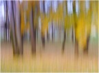 autunno creativo al parco cittadino autunno creativo al parco cittadino