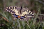 Macro_14Set2025_11 Macro_14Set2025_11