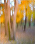 Autunno al Parco Astichello Autunno al Parco Astichello