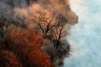Winter Winter