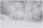 nel silenzio invernale a Pian delle Fugazze nel silenzio invernale a Pian delle Fugazze