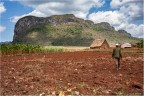 Campesino de Vinales