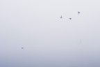 St St