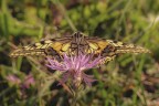 Macro_14Set2025_6 Macro_14Set2025_6