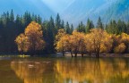 Fusine allagate Fusine allagate