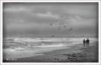 Love Storm Love Storm