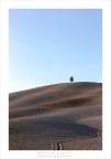 il solitario il solitario
