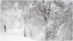 escursionista nel silenzio invernale escursionista nel silenzio invernale