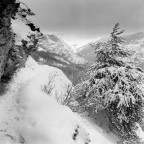 Zenza Bronica SQ-A
Zenzanon 50mm
Fomapan 100