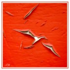 Flight in the red sky