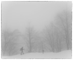 autoscatto nel silenzio, tra neve e nebbia autoscatto nel silenzio, tra neve e nebbia