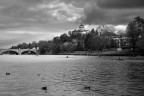 Domenica sul Po Domenica sul Po