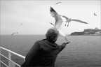 Procida Procida