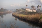 La lupa al fiume La lupa al fiume
