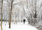 La nevicata La nevicata
