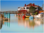 Laguna di Venezia, Isola di Mazzorbo. Marzo 2026
