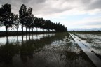 temporale in risaia