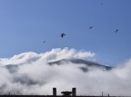 Sopra le nuvole Sopra le nuvole