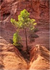 Roussillon Roussillon