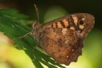 Macro_270626_2