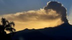 incontenibile forza della natura incontenibile forza della natura