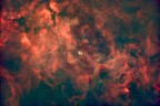 Nebulosa crescente e regione di Sadr