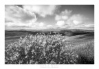 Val d'Orcia Val d'Orcia