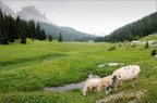 Dolomiti Dolomiti