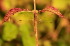 Macro_LagoCanterno_Ago2026_5 Macro_LagoCanterno_Ago2026_5