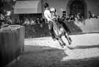 Palio Palio