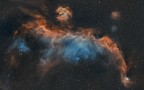 Immensa regione di formazione stellare che si estende per circa 100 anni luce e si trova a circa 3700 anni luce dalla Terra, al confine tra le costellazioni del Cane Maggiore e dell'Unicorno.
Questa immagine � stata elaborata con la tecnica HOO (Idrogeno-Ossigeno-Ossigeno)

Dati tecnici:
Esposizioni: 14 lights da 600" (Ha/Oiii)
Calibrazione: 10 Dark, 20 flat, 20 darkflat
