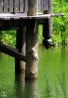 Rio Sesto � un piccolo fiume che nasce in Val Fiscalina (Moso) e sfocia nella Drava a S. Candido, per entrare poi nel Danubio. 
Di seguito una serie di immagini scattata lungo quasi tutto il suo corso.

Graditi pareri personali e commenti tecnici.
Ciao Furyo