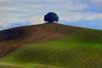 Val d�Orcia