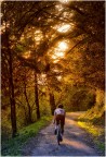 Parco di Colonia Bedin Aldighieri. Vicenza, Colli Berici. Escursione preserale di ottobre 2026