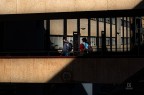 Campus reprise