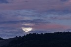 ieri tornato a casa ho visto questa luna celata dietro le nuvole al tramonto e non ho potuto non scattare.
T. 1/250, obb. 600 mm. con appoggio, F.8, ISO 800