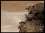 L'Arte della Natura L'Arte della Natura