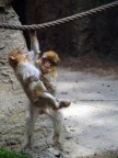 ... ma fatti dare una manooooo !!! ... ma fatti dare una manooooo !!!