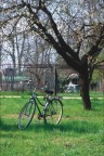 Al Parco Al Parco