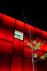 rosso di sera rosso di sera