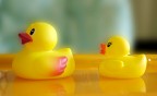 Follow me Follow me