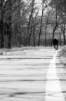Il Viaggio Il Viaggio