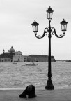 Per favore... Per favore...